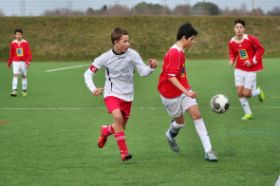 IMG_7073.jpg